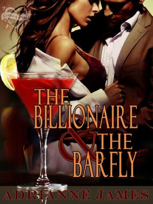 Book cover of The Billionaire & The Barfly
