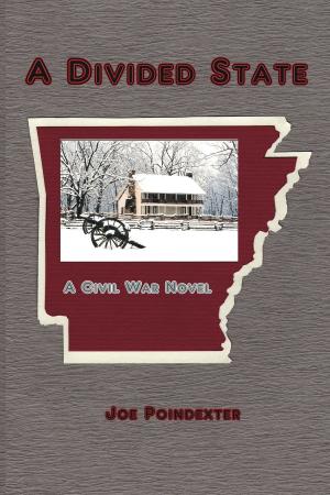 Cover of A Divided State: A Civil War Novel
