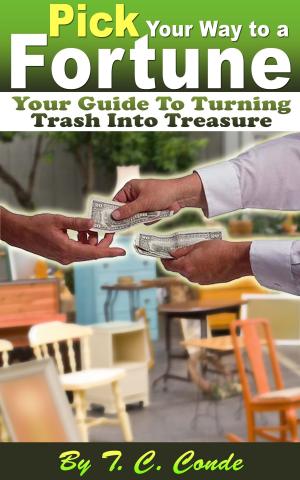 Cover of the book Pick Your Way to a Fortune, Your Guide to Turning Trash Into Treasure by Luis Ifalaye