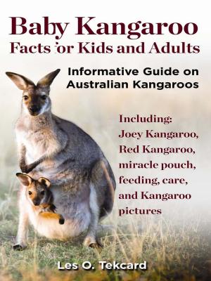Cover of Baby Kangaroo Facts For Kids And Adults