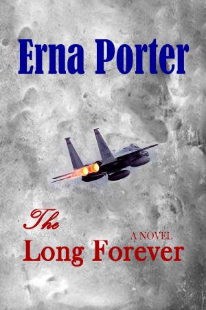 Cover of the book The Long Forever by C. L. Bush