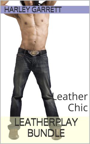 Cover of the book Leatherplay Bundle by Payne Hawthorne