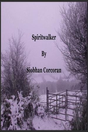 bigCover of the book Spiritwalker by 