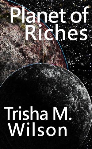 Cover of Planet of Riches