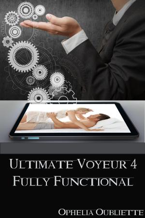 Book cover of Ultimate Voyeur 4: Fully Functional
