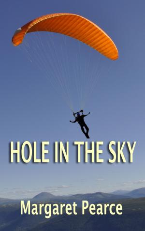 Cover of the book Hole in the Sky by Donna Zadunajsky