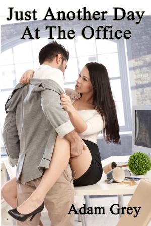 Cover of the book Just Another Day at the Office by Olivia Gaines