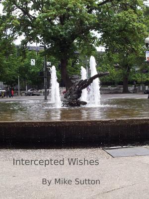 Cover of Intercepted Wishes