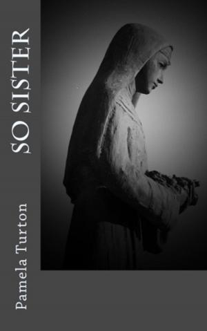 Cover of the book So Sister by Seth Edgarde