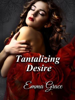 Cover of the book Tantalizing Desire by Erika Reed
