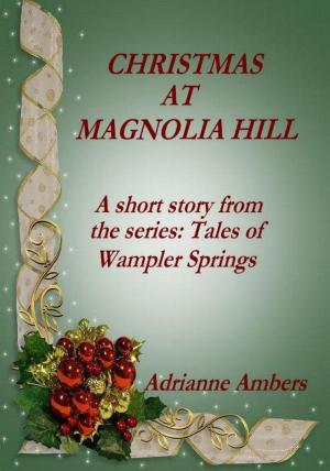Cover of the book Christmas at Magnolia Hill by LK Hunsaker
