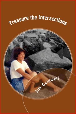 bigCover of the book Treasure The Intersections by 