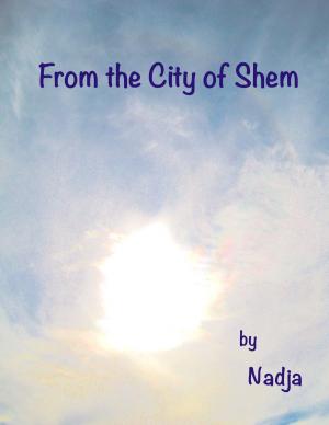Book cover of From the City of Shem