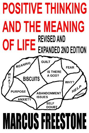 Cover of Positive Thinking And The Meaning Of Life (Extended)