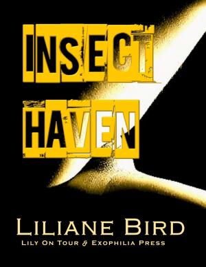 Cover of the book Insect Haven by PD Sampson