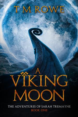 Cover of the book A Viking Moon by Iwan Jooste