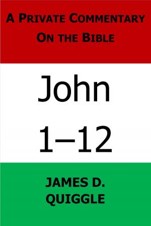 Cover of the book A Private Commentary on the Bible: John 1-12 by James D. Quiggle