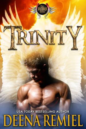 Cover of the book Trinity by Jeremy Dickson