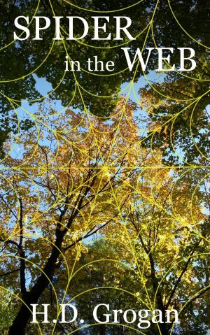 Cover of the book Spider in the Web by Jason Werbeloff