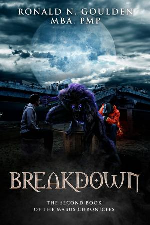 Cover of the book Breakdown by Anthony Camber