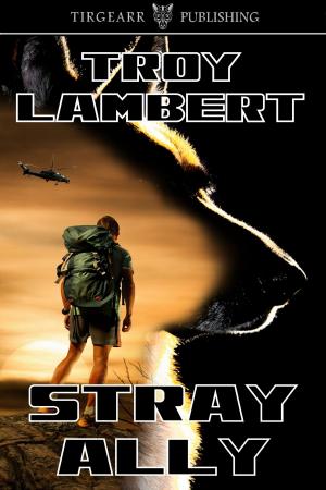 Cover of Stray Ally