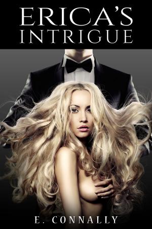 Cover of the book Erica's Intrigue by M. J. Spencer
