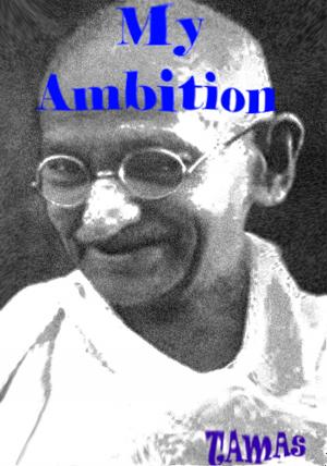 Book cover of My Ambition