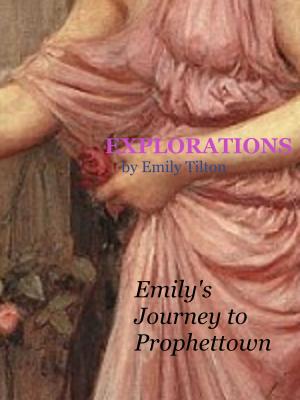 Book cover of Explorations: Emily's Journey to Prophettown