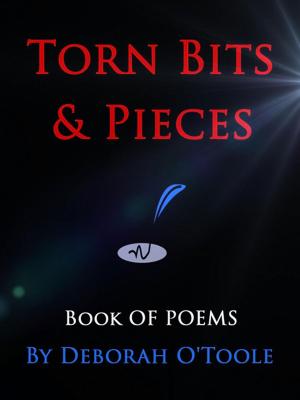 Book cover of Torn Bits & Pieces