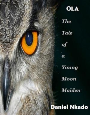 Cover of the book Ola: The Tale of a Young Moon Maiden by Ardy