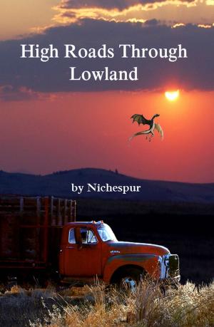 Cover of the book High Roads Through Lowland by Jared Prophet