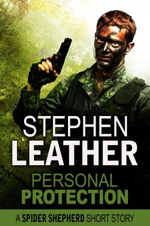 Cover of Personal Protection (A Spider Shepherd Short Story)