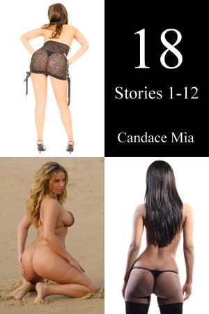 Cover of the book 18: Stories 1-12 by Delilah Divine