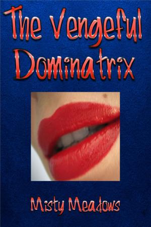 Cover of the book The Vengeful Dominatrix (Femdom) by Misty Meadows