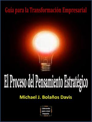Cover of the book El Proceso del Pensamiento Estratégico by Ph.D. Tracy Weber