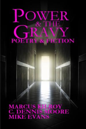 Book cover of The Power & the Gravy