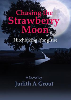 Cover of the book Chasing the Strawberry Moon, Hitchhiking (for girls) by Julien Lezare