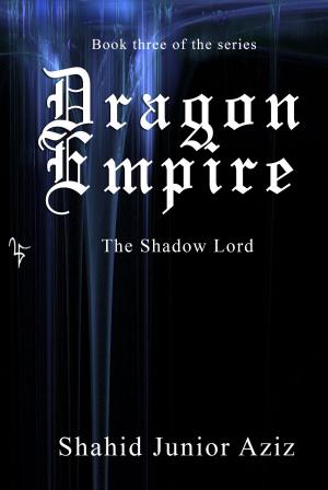 Cover of Dragon Empire 3