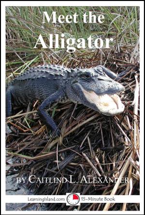 Cover of the book Meet the Alligator: A 15-Minute Book for Early Readers by Caitlind L. Alexander