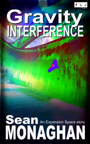 Cover of the book Gravity Interference by Kealan Patrick Burke, Adam Light, Evans Light, Edward Lorn, Mark Matthews, John McNee, Jason Parent, Craig Saunders, Gregor Xane
