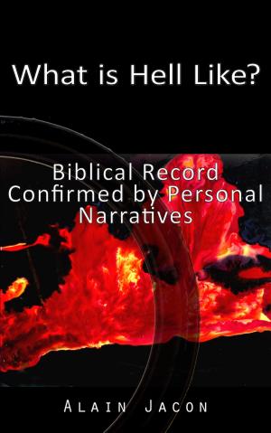 Cover of the book What is Hell Like? Biblical Record Confirmed by Personal Narratives by Nicholas Duncan-Williams