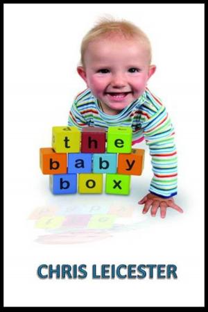 Cover of the book The Baby Box by James P. Sumner