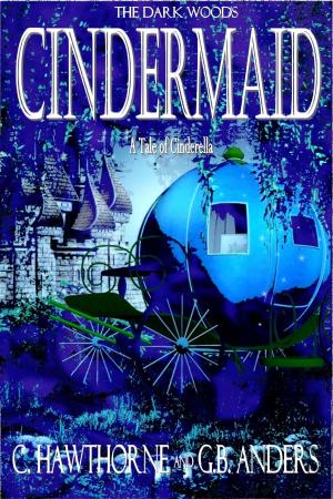 Cover of the book Cindermaid: A Tale of Cinderella by Matthew Tonks