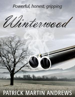 Cover of the book Winterwood by PJ Skinner