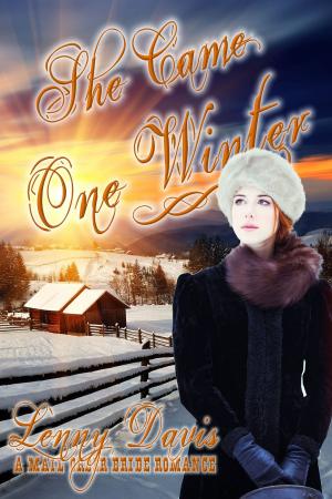 Cover of the book She Came One Winter (The Brides Of Courage, Kansas, Book 2) by Lenny Davis