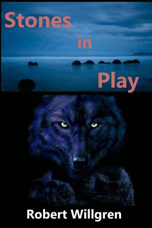 Cover of the book Stones in Play by Timothy Ray