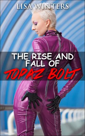 Cover of The Rise and Fall of Topaz Bolt