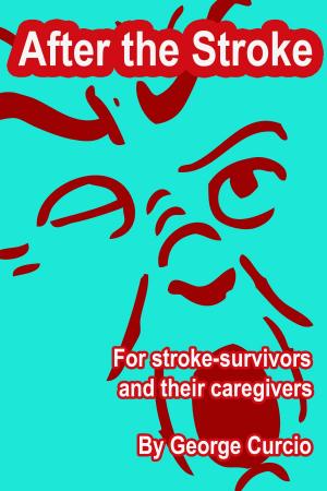 Cover of the book After the Stroke by Independent Forum for Faith and Media