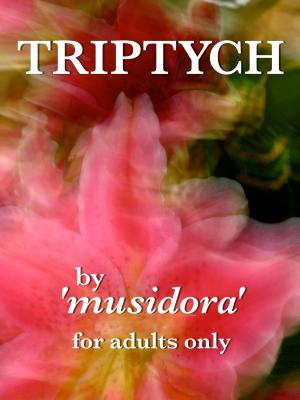 Cover of the book Triptych by Fabienne Dubois