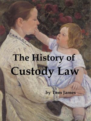 Cover of The History of Custody Law